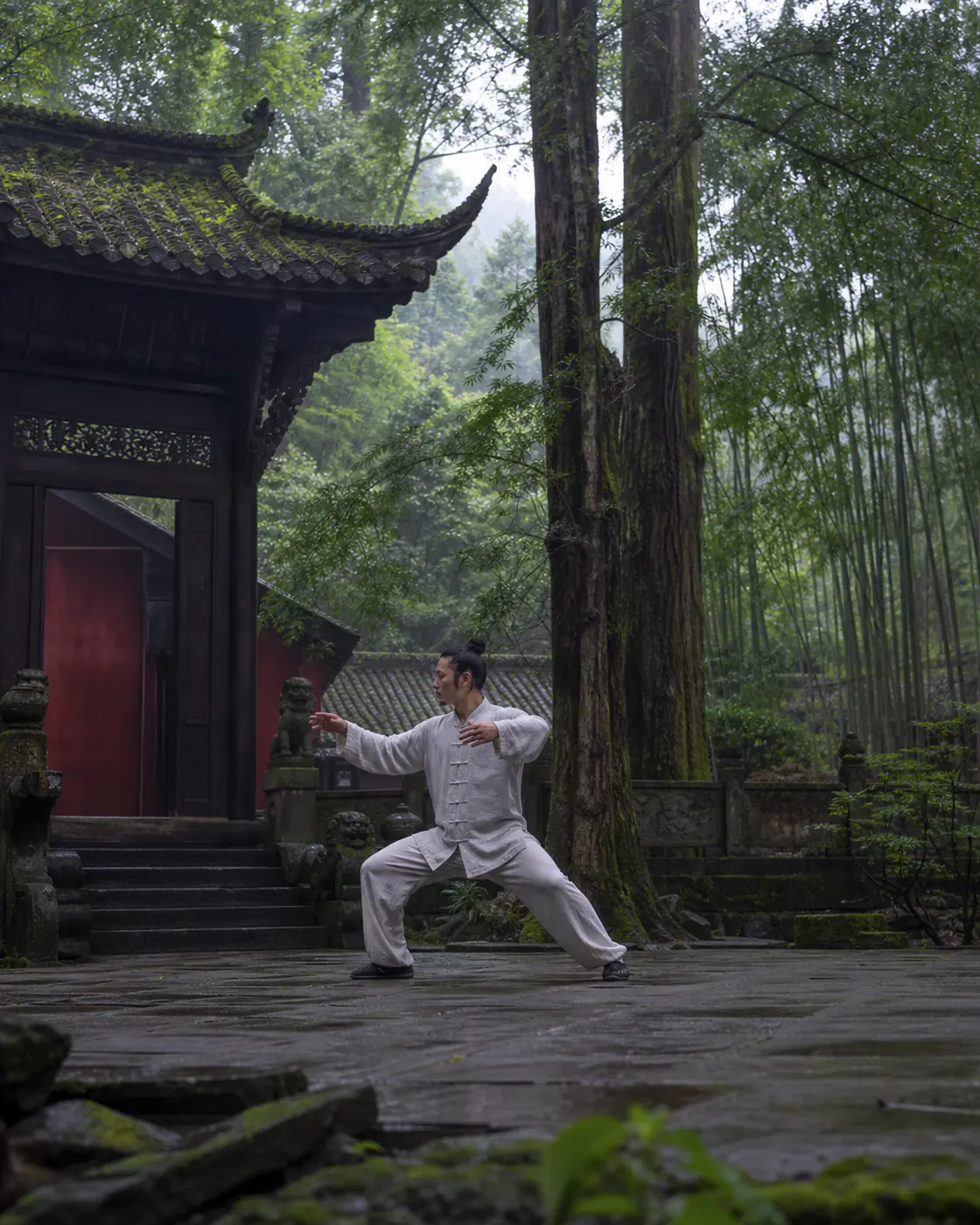 Qingcheng Mountain tai chi experience